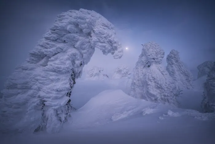 Heavy snow covering trees under a pale sky featured in natural landscape photography.