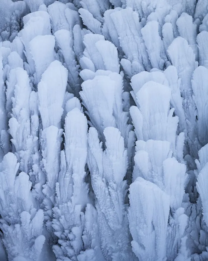Detailed close-up of icy frost formations showcased in natural landscape photography.