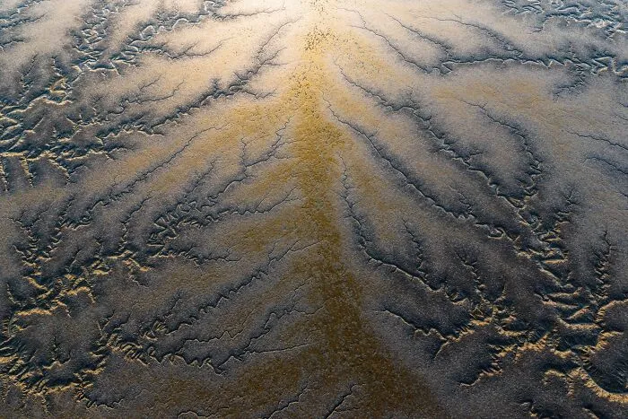Aerial view of abstract water channels in mudflats capturing natural landscape photography