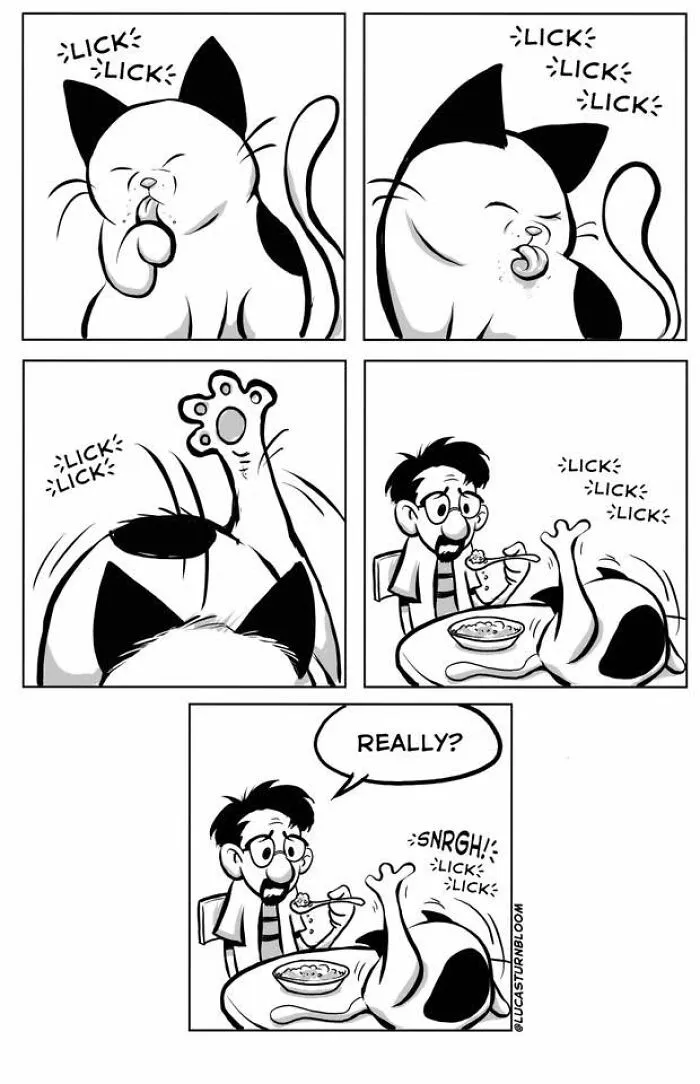 Relatable cat behaviors comic depicting a cat grooming itself right next to its owner while he tries to eat breakfast.