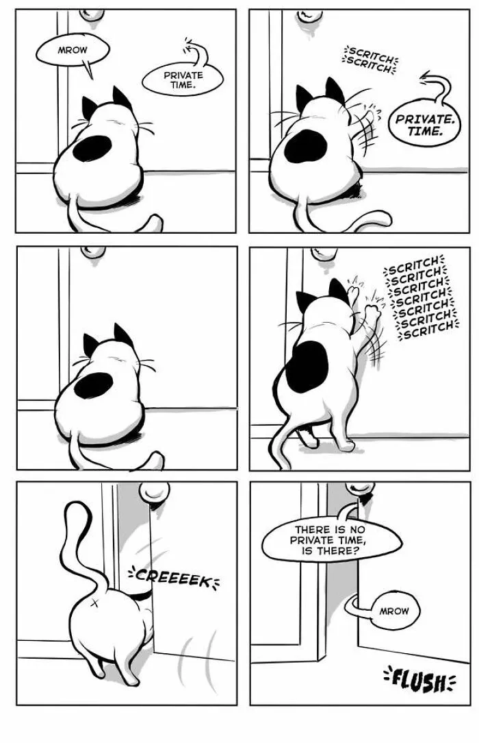 Comic illustrating relatable cat behaviors as a cat interrupts its owner in the bathroom by scratching at the door.