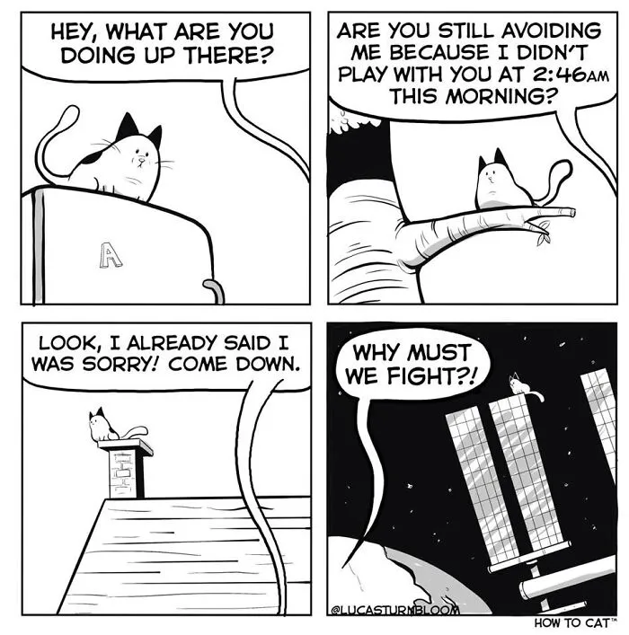 Funny comic illustration by Lucas Turnbloom about relatable cat behaviors and climbing to impossibly high places.