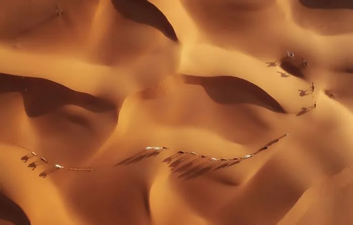 Drone perspective of a camel caravan casting shadows in vast desert dunes from Siena Drone Photo Awards.