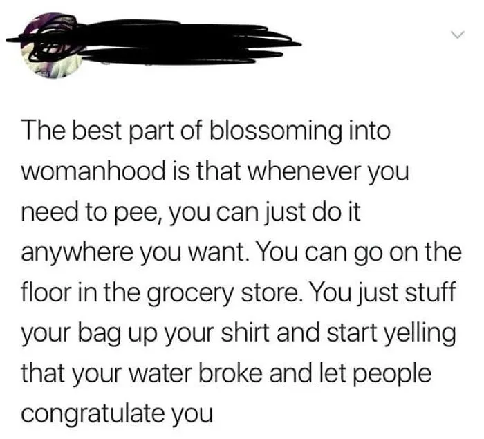 A humorous social media post illustrating wrong takes on female anatomy about urination and childbirth.
