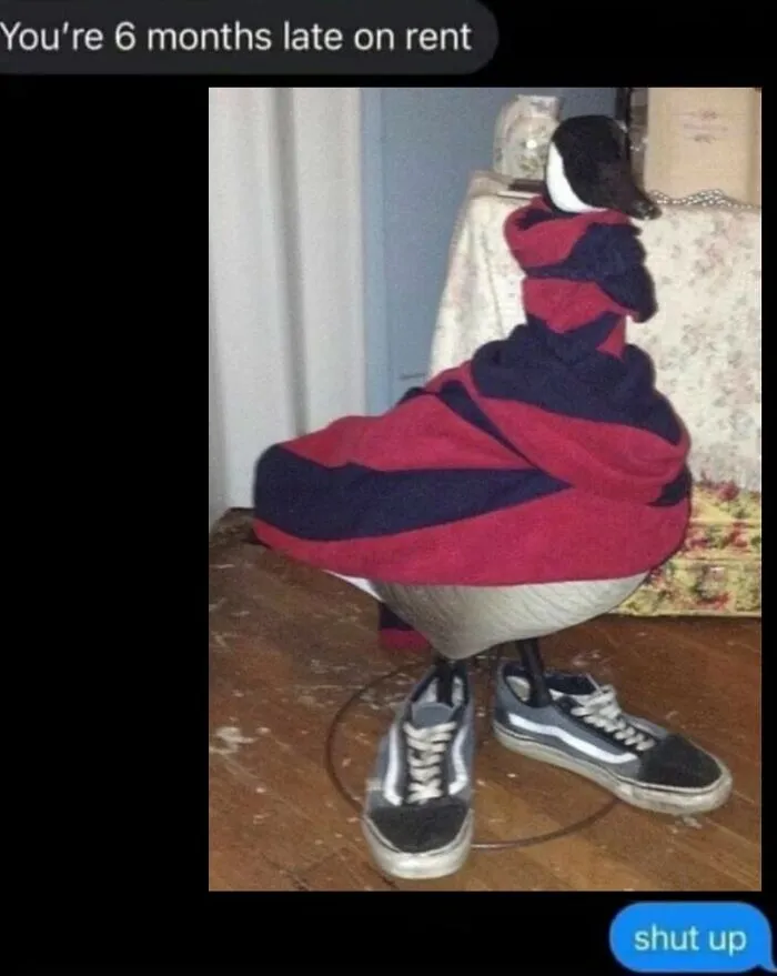Funny bird memes post showing a goose wearing a sweater and sneakers