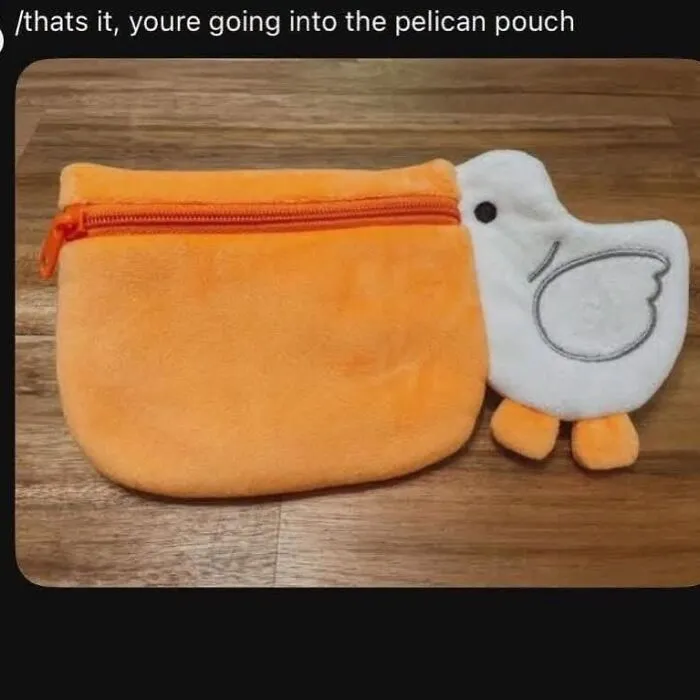 Cute bird memes featuring a plush orange pelican pouch bag shaped like a bird on a wooden surface.