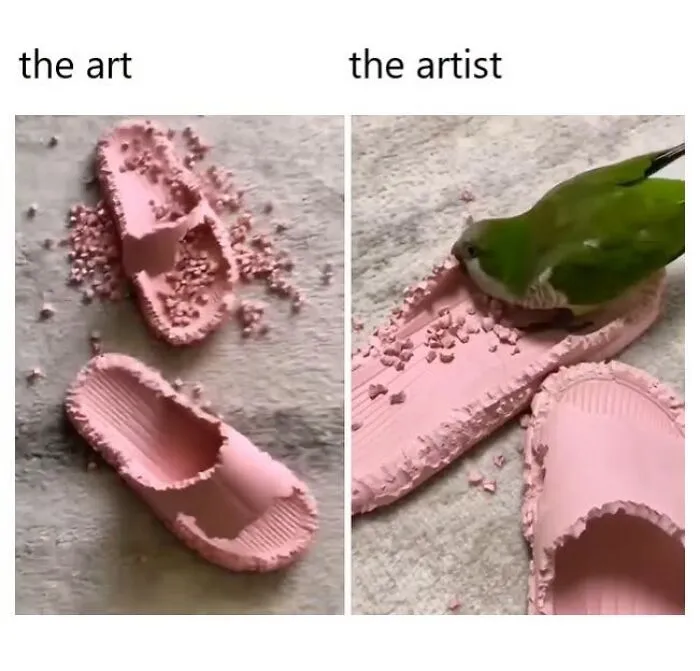 Funny bird memes showing a green parrot chewing up a pink foam slipper labeled as the art and artist