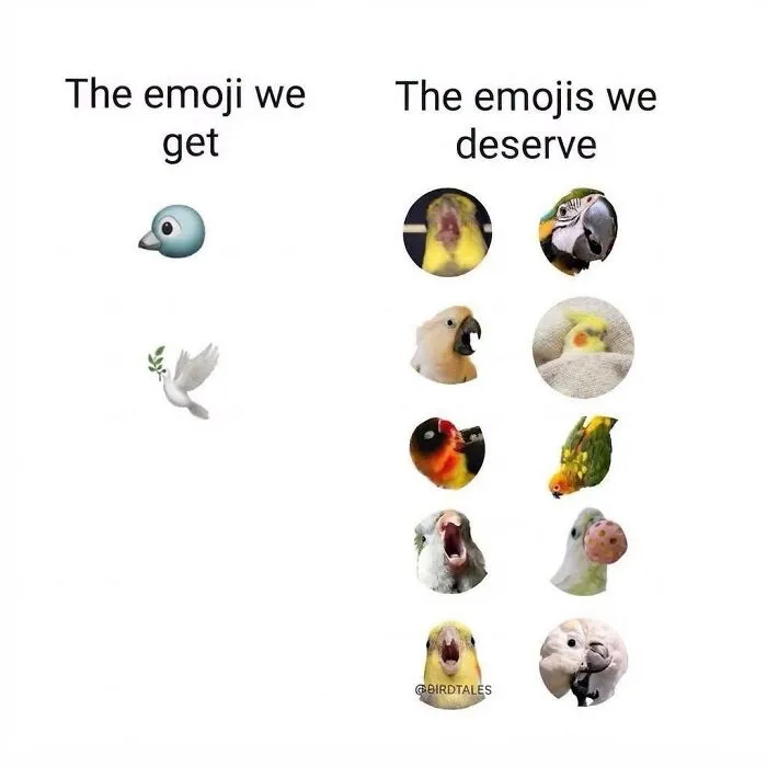 Comparison chart of basic bird emojis versus funny expressive bird memes options.