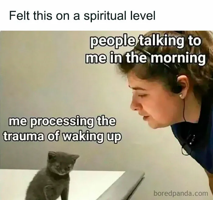Relatable memes for introverts with a tiny kitten ignoring a person talking to it in the morning.