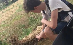 Chilling Posts From Mom Of Former Child Actor Who Entered Tiger Enclosure Raise Questions After Fatal Incident