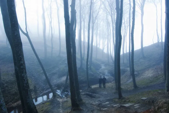 Two figures walking in a misty forest, capturing the mood of scariest true stories.