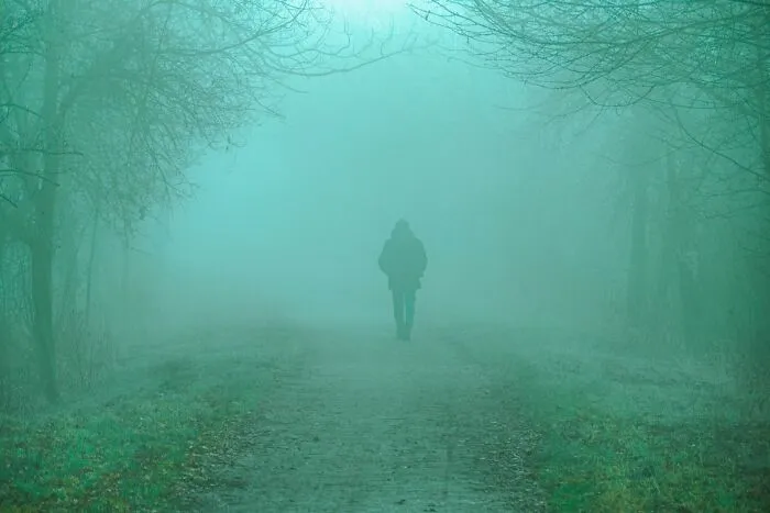 A lone figure walks down a foggy path surrounded by trees, evoking a vibe from scariest true stories