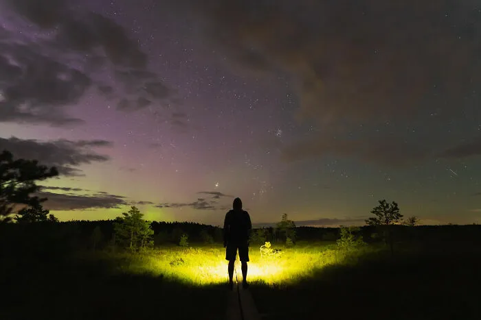 Silhouette of a person standing under a starry night sky, reflecting elements of chilling scariest true stories.