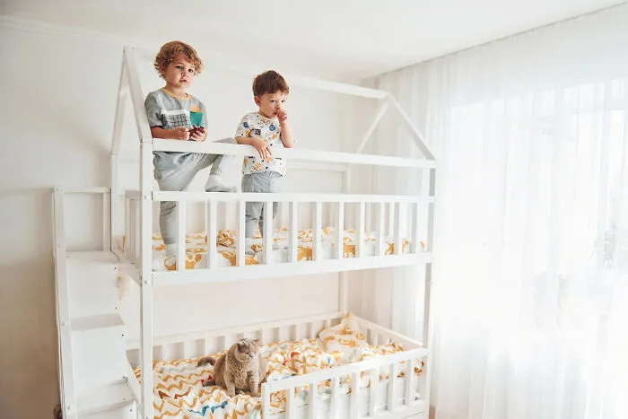 Two young boys on top bunk bed with a cat below, inspired by quick-fire jokes
