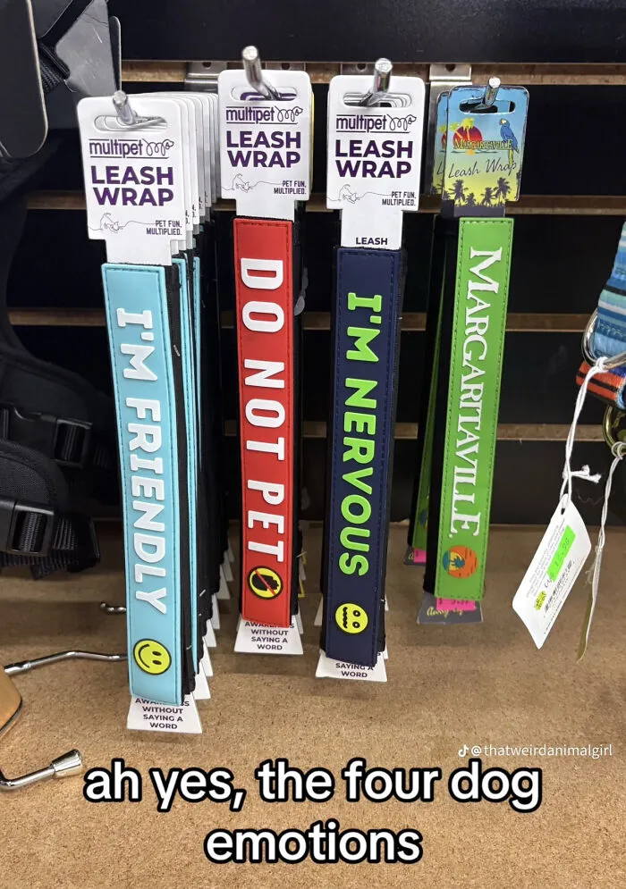 Dog leash wraps with funny emotions labels in cursed images
