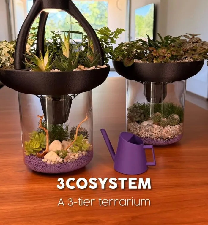 Two 3D printed terrarium systems with living plants on a wooden table.