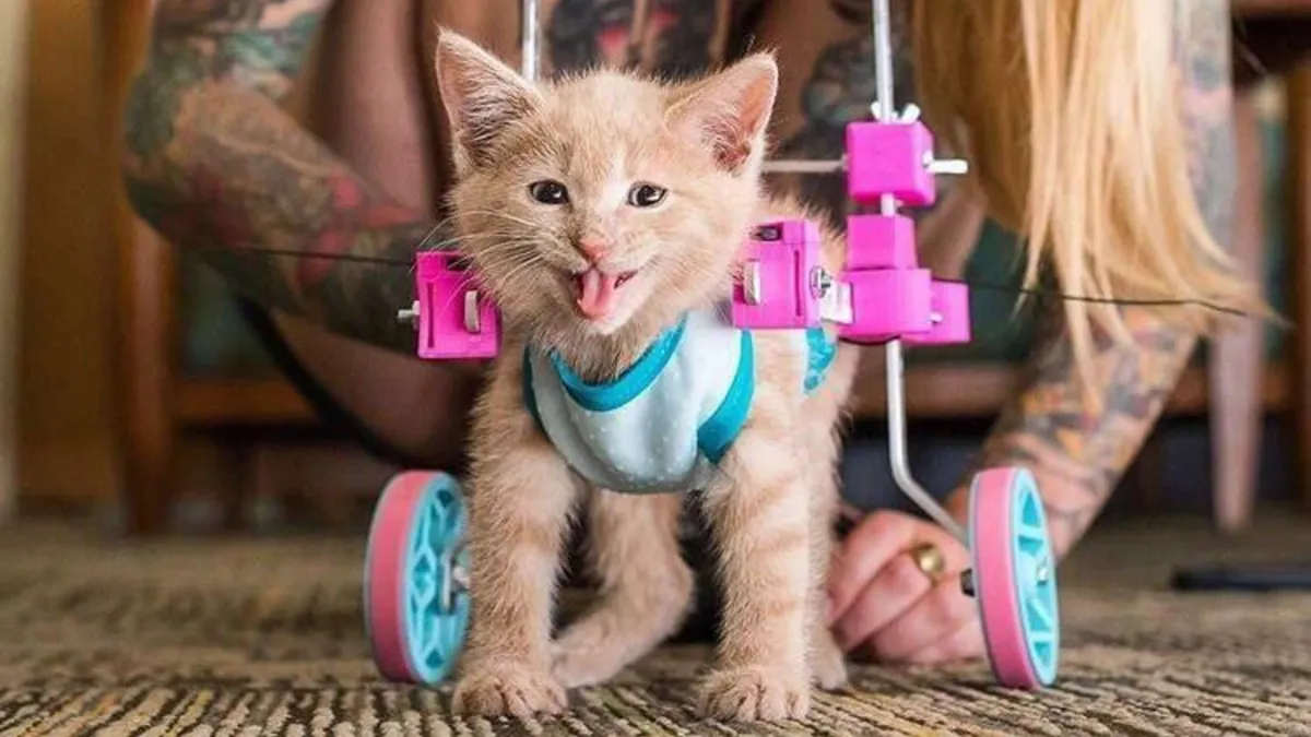 66 Times People Used a 3D Printer and Reached Absolute Peak Human Ingenuity