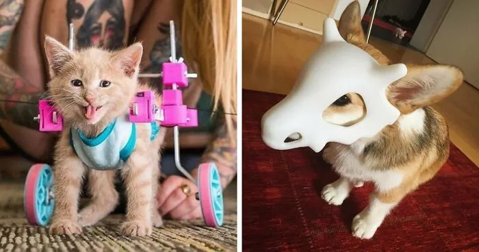 66 Times a 3D Printer Was The Answer To A Question Nobody Else Thought to Ask
