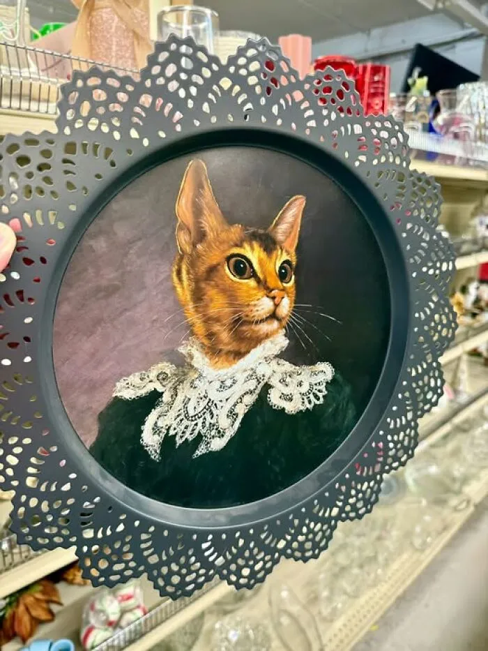 A framed portrait painting of an elegant cat wearing a lace collar, an artistic thrift store discovery.