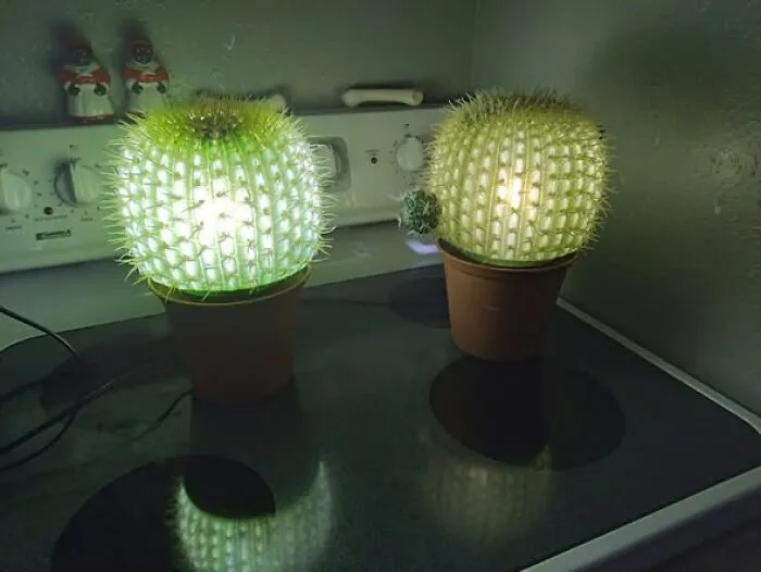 Two illuminated cactus-shaped lamps glowing softly on a kitchen stovetop, a creative thrift find.