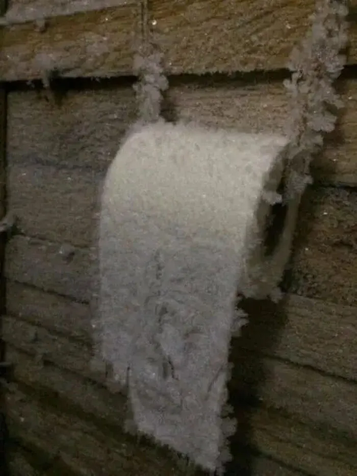A roll of toilet paper completely covered in thick ice crystals, fitting cursed images.