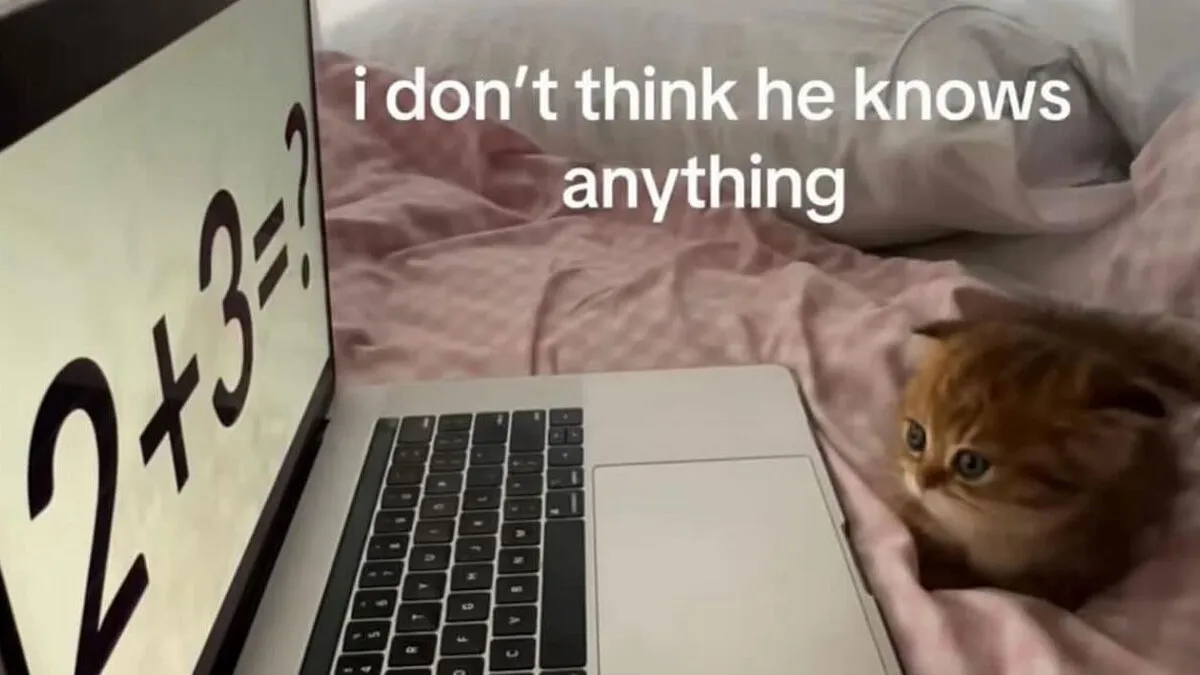 66 Absurd Internet Posts That Somehow Get Weirder The Longer You Look