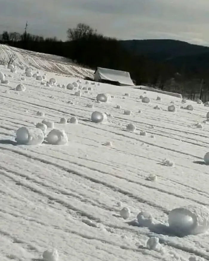 Natural snow rollers scattered across a hillside, an odd photo of rare weather formations.