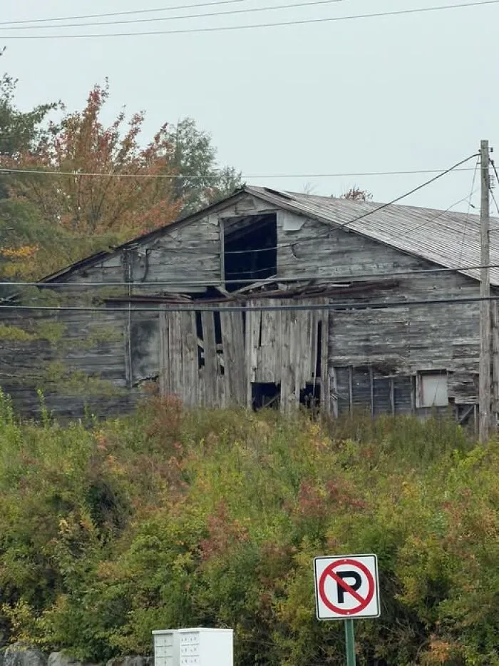 An interesting photo of an old, weathered wooden barn surrounded by overgrown bushes behind a no parking sign.