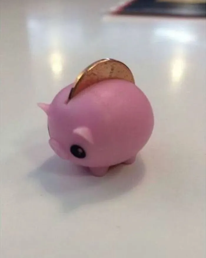 Fun and interesting photo of a tiny pink piggy bank holding a single coin