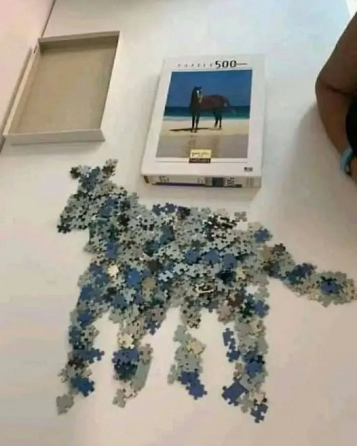 An odd arrangement of puzzle pieces scattered on a table to form the shape of a horse next to its box.