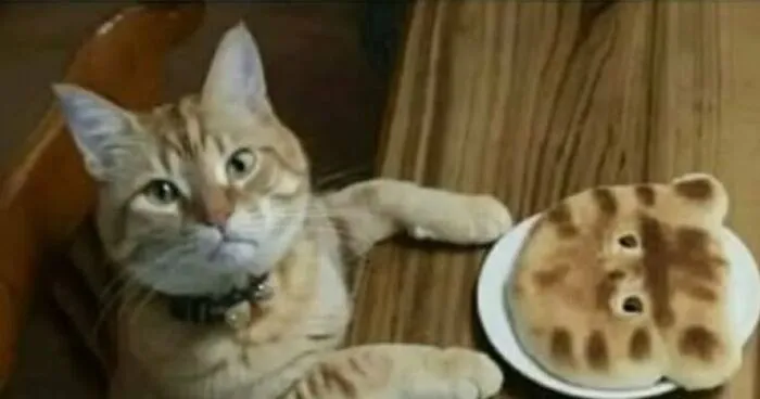 70 Mildly Amusing Photos That Might Bring You Joy