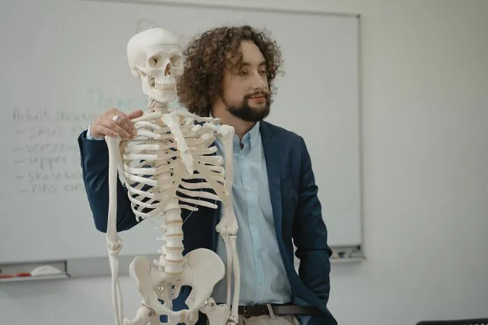 A teacher showing a skeleton model in class, illustrating human body facts.