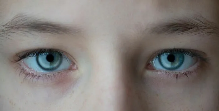 Detailed close-up of light blue eyes representing human body facts about vision.