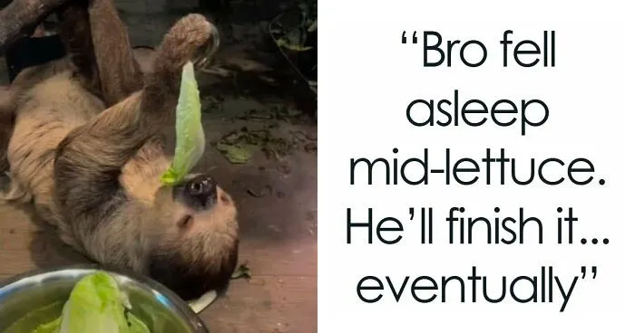 68 Wholesome And Amazing Moments To Prove The World Is Not All Bad
