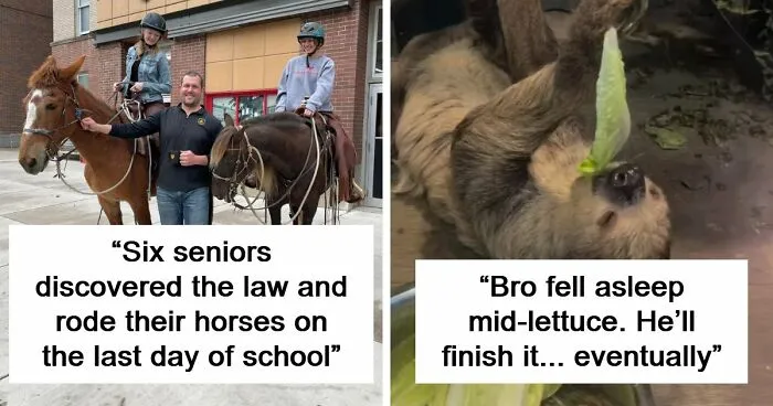68 Wholesome And Amazing Moments To Prove The World Is Not All Bad