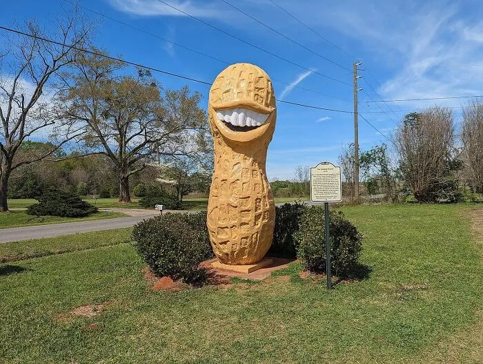 A bizarre public art monument of a smiling peanut with teeth standing in a grassy field on a sunny day.