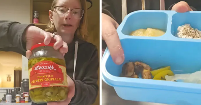 Wife Sends Her Husband Off With A Lunch Fit For A Mouse, And The Internet Has Questions About The Menu