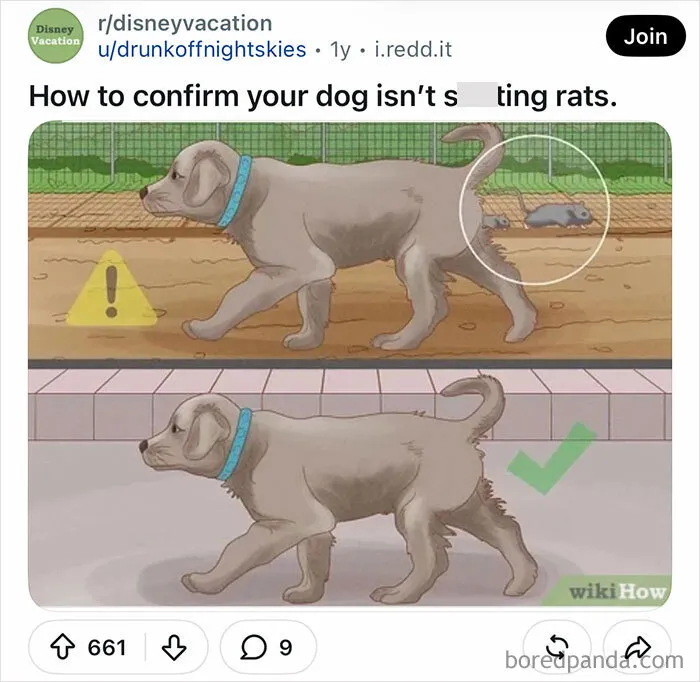 Funny WikiHow images showing a dog walking with a warning sign about rats.