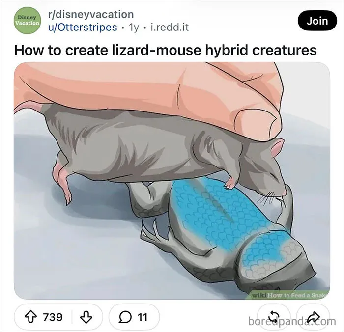 Funny WikiHow images screenshot showing a hand placing a mouse onto a blue scaled lizard.