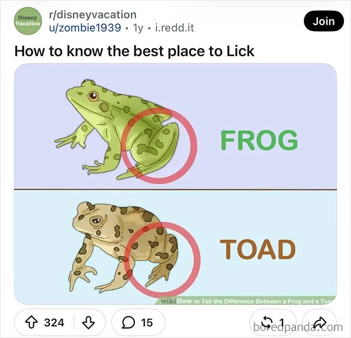 WikiHow image meme showing frog and toad comparison diagram with funny custom caption.