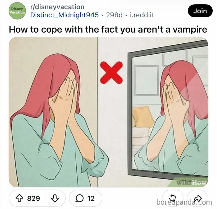 A funny WikiHow image meme showing a person hiding face in front of a mirror