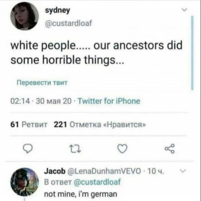 Twitter thread featuring a funny comment from a German user replying to a post about white ancestors.