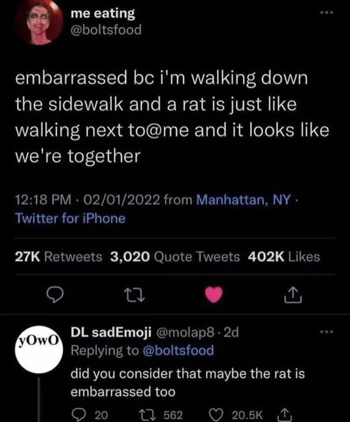 Witty tweet exchange about walking next to a rat, showcasing a humorous post someone cleverly replied to.