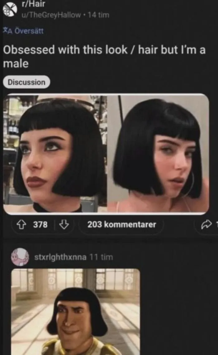 Reddit hair discussion with a male asking about a bob haircut, paired with a funny Lord Farquaad reply.