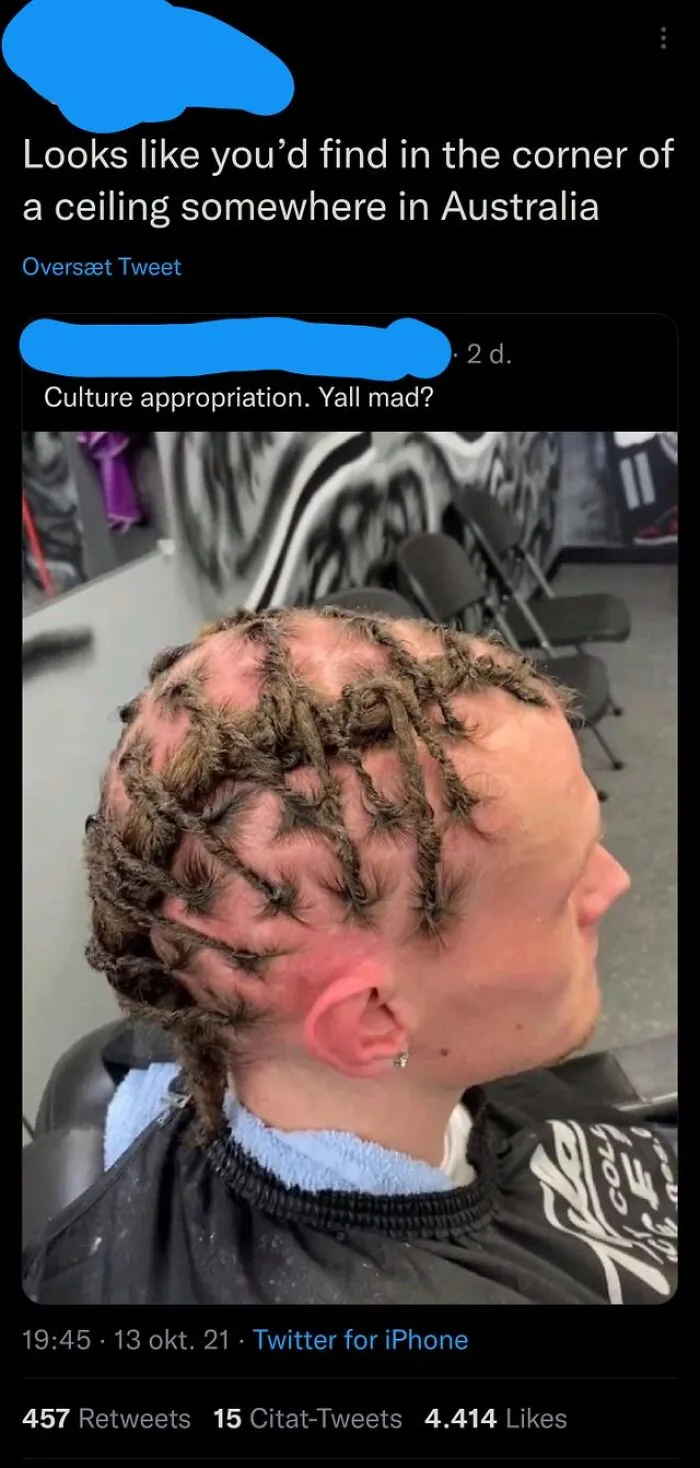A Twitter user who replied to a post featuring a strange hairstyle by comparing it to an Australian ceiling bug.