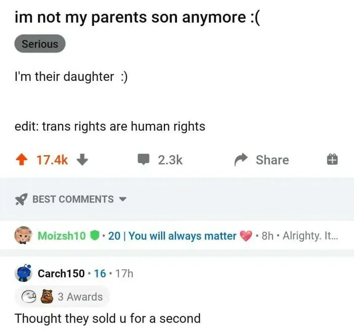 Reddit post screenshot showing a user who replied to a post cleverly regarding coming out as trans.