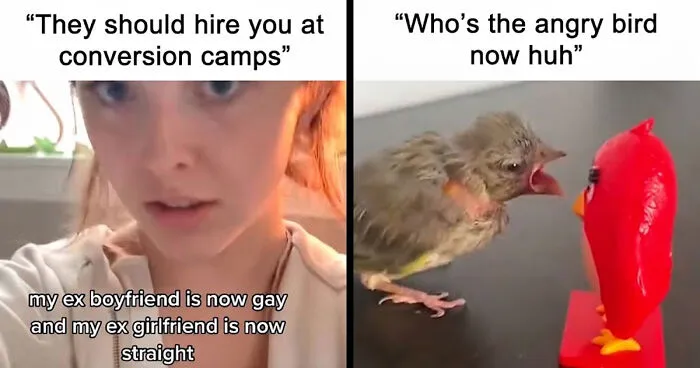 75 Times Someone Replied To A Post So Cleverly That Everyone Forgot What The Original Was About