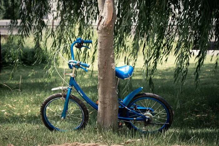 A blue bicycle parked next to a tree in a park, illustrating how things fall apart.