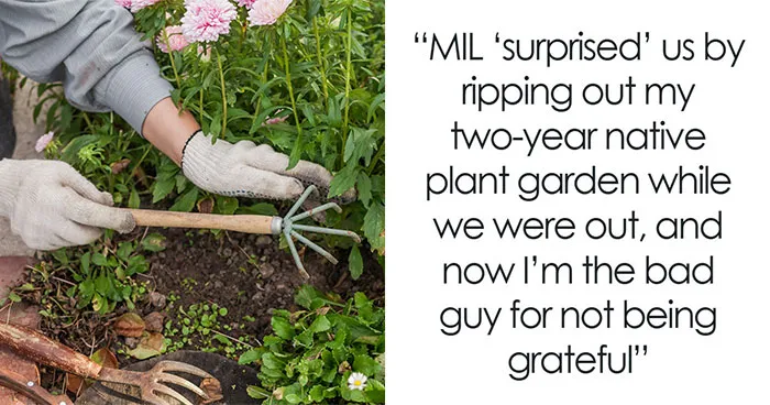 37 Toxic Mother-In-Law Stories That Deserve Their Own October Horror Special
