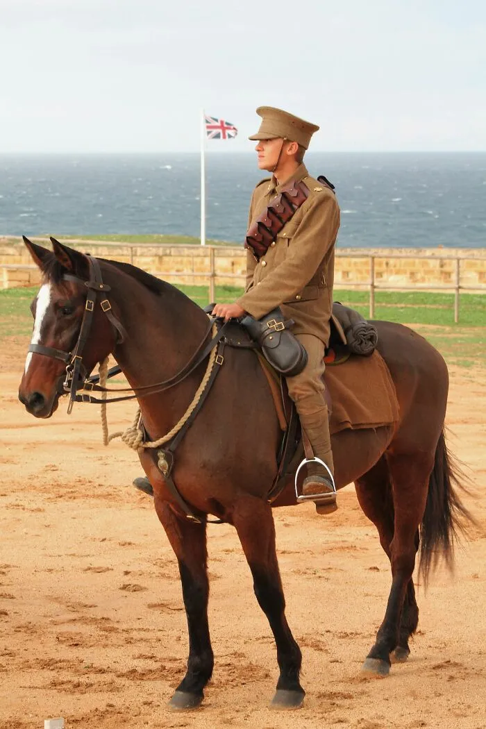 Soldier in uniform on horseback with British flag by the sea